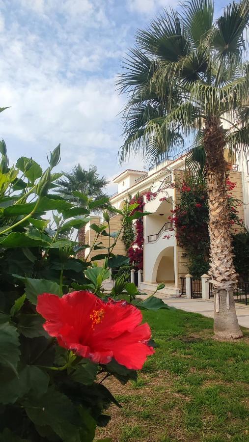 Fantastic 4 Cyprus First Line Beachfront Boghaz Esterno foto