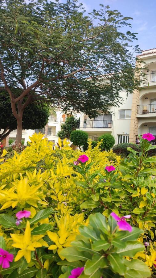 Fantastic 4 Cyprus First Line Beachfront Boghaz Esterno foto